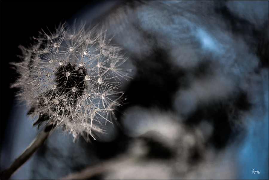 2020 04 19 Drive PV-10