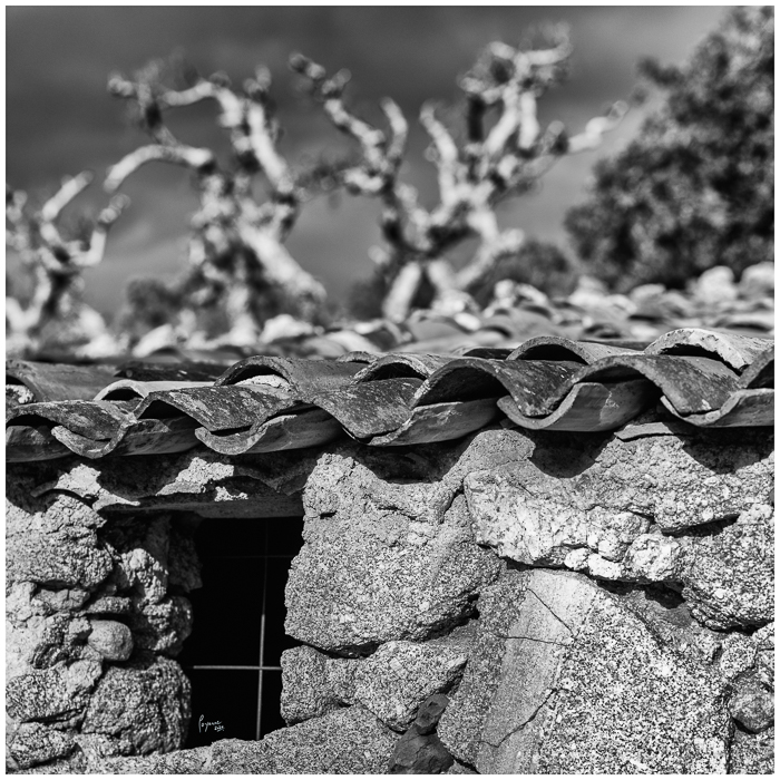 2020 Janvier Brumes Plan-10