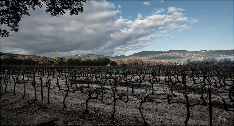 2020 Janvier Brumes Plan-2