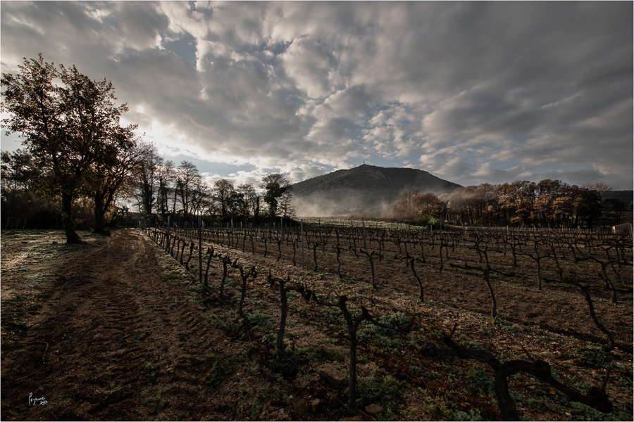 2020 Janvier Brumes Plan-3