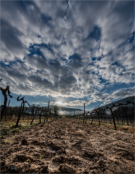 2020 Janvier Brumes Plan-6