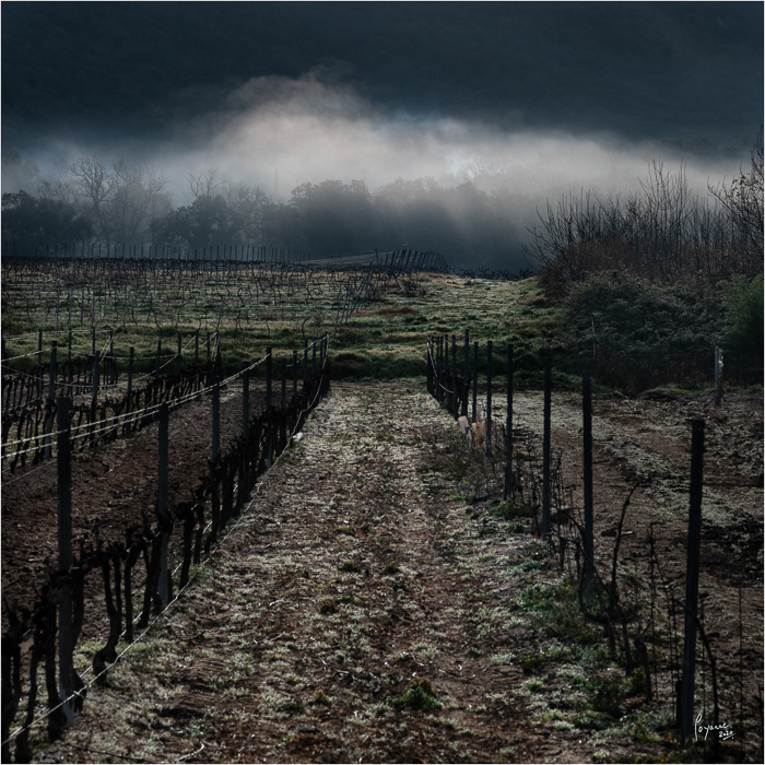 2020 Janvier Brumes Plan-9