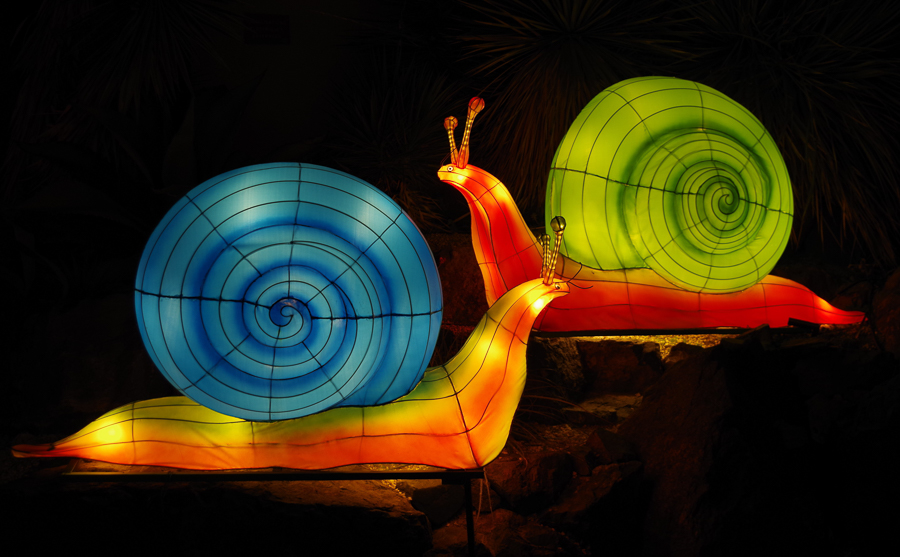 2020 Nice Parc Phoenix-10