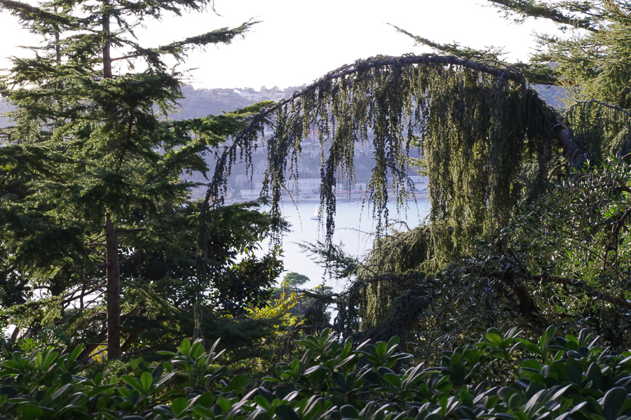 2020 Nice villa Ephrussi ext.-6