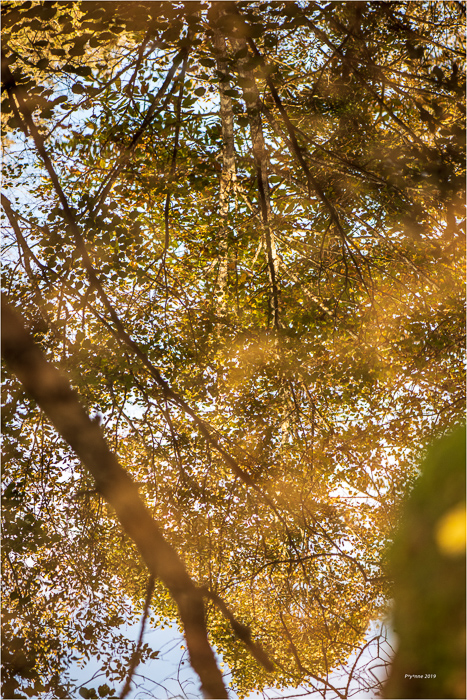 Cascade de Gourbachin-6