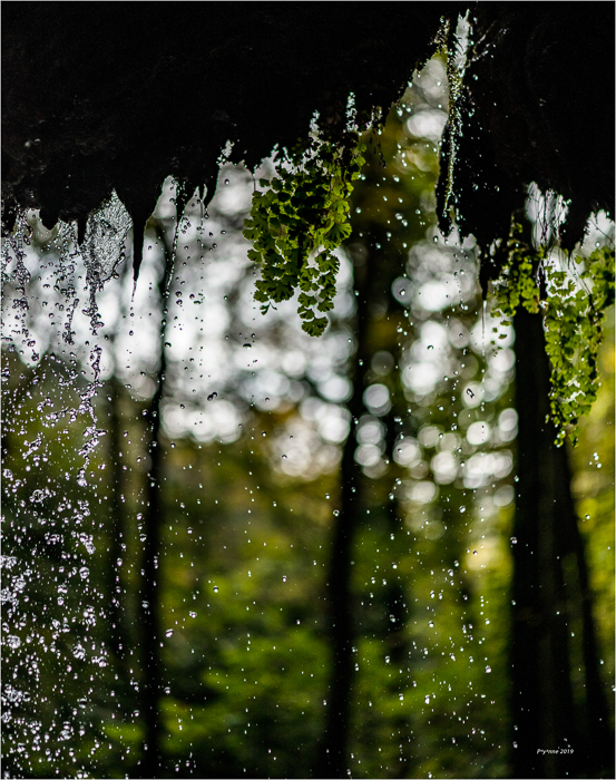 Cascade de Gourbachin-9