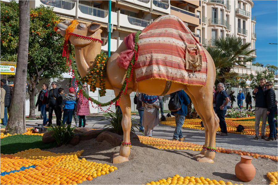 Fête du citron Menton-9
