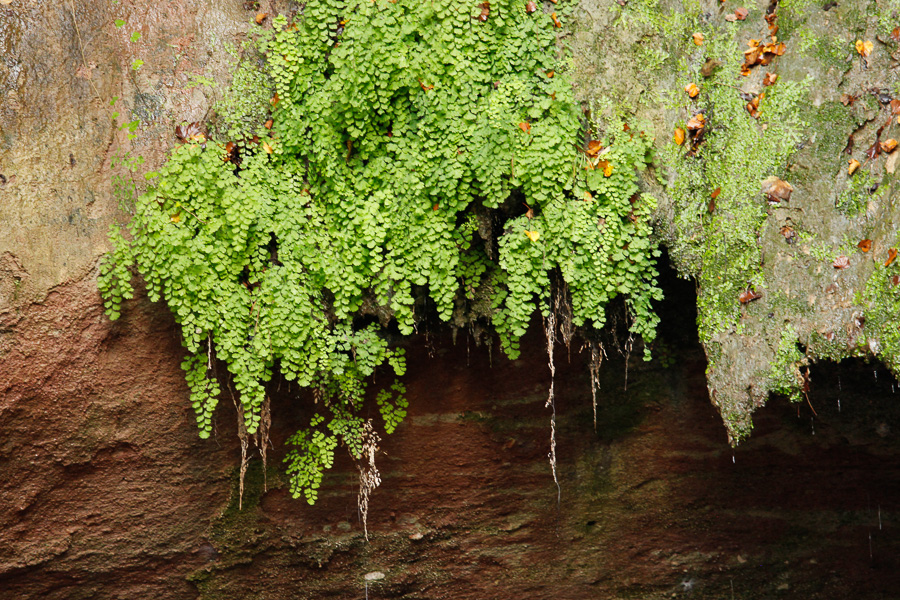 cascade de Gourbachin-6