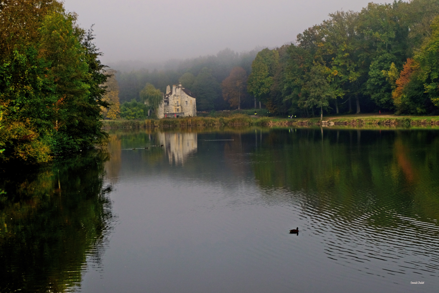 Brume au château Forêt de Montmorency print