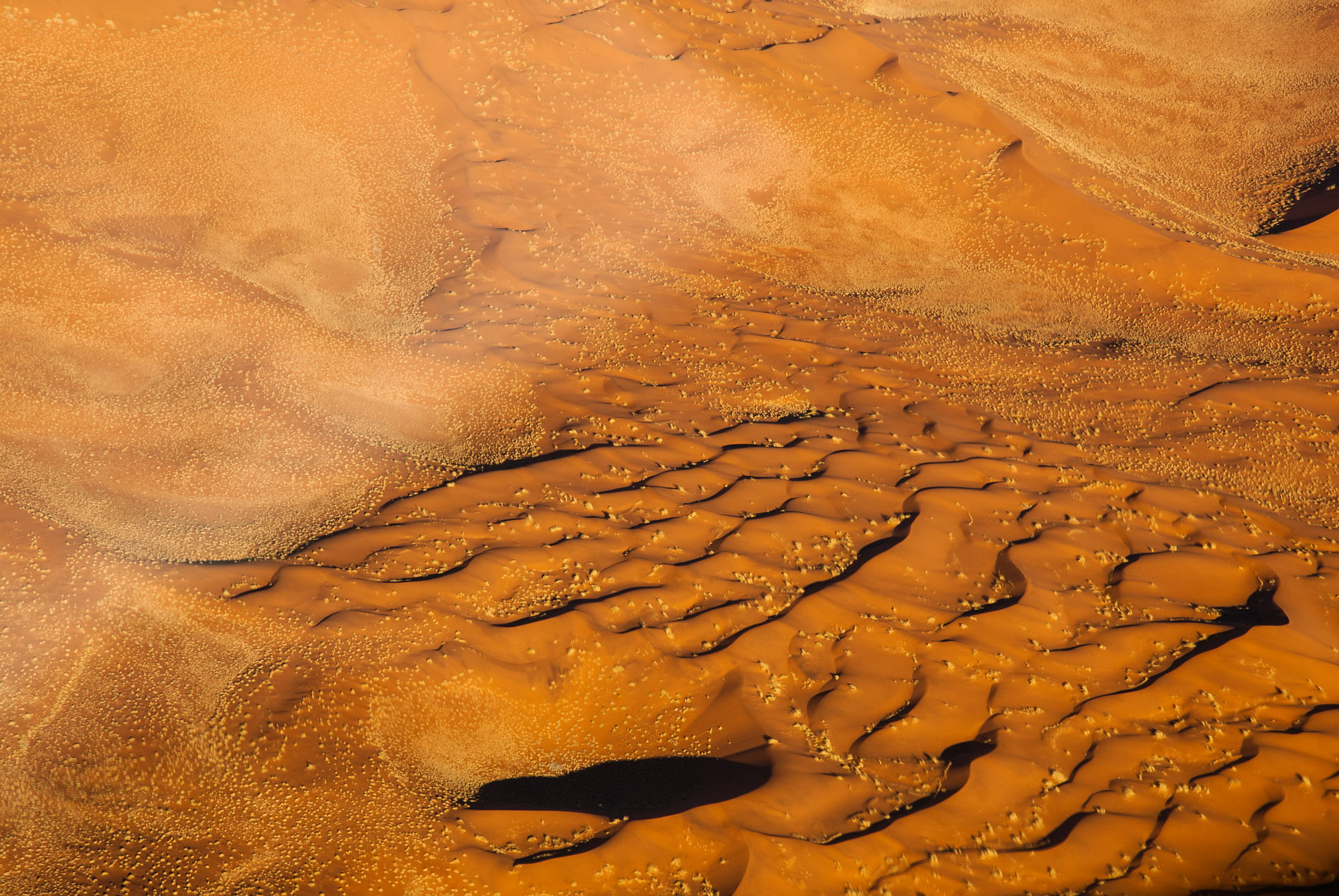Geenviève désert