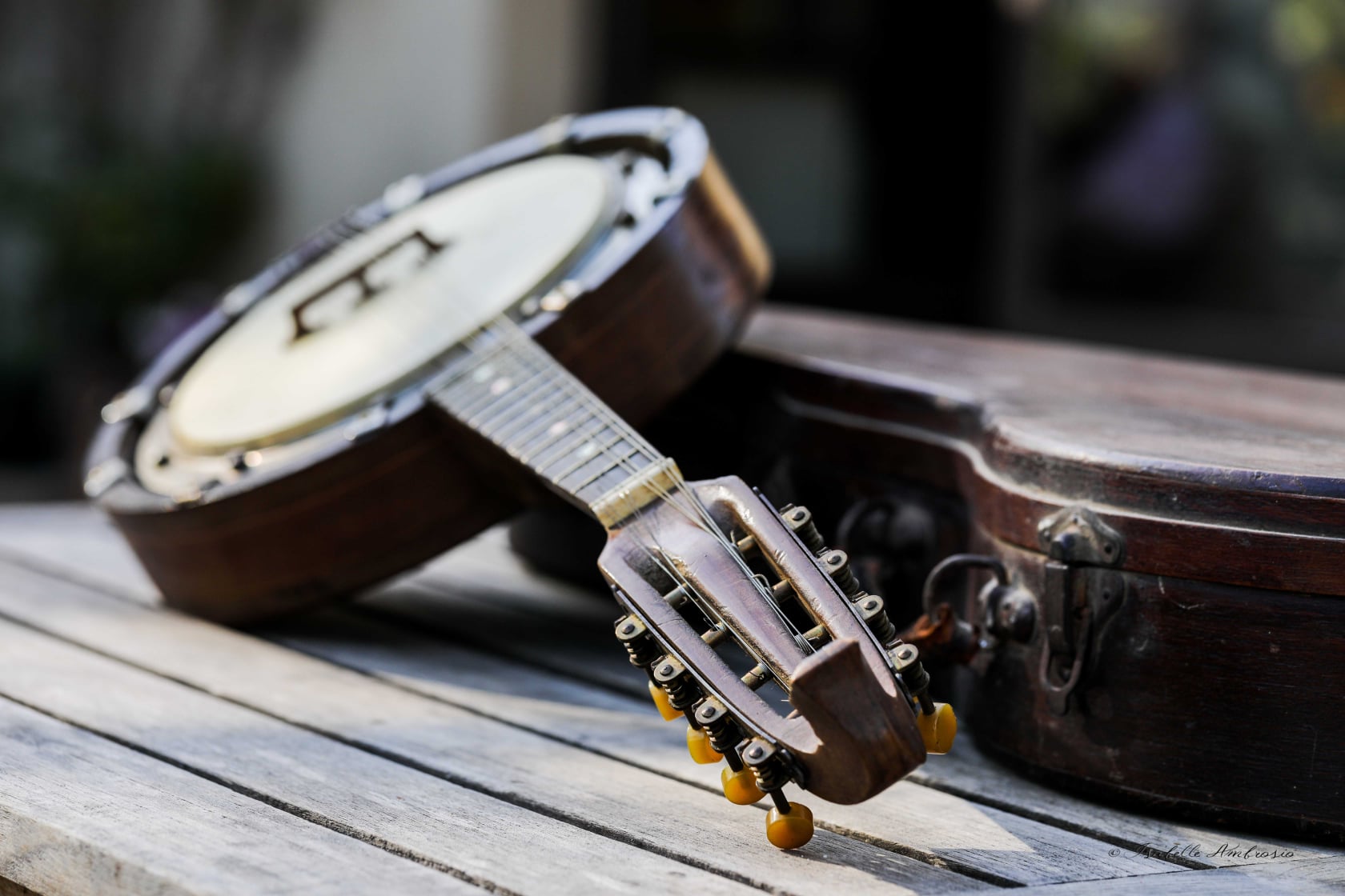 Isabelle banjo mandoline 8 cordes