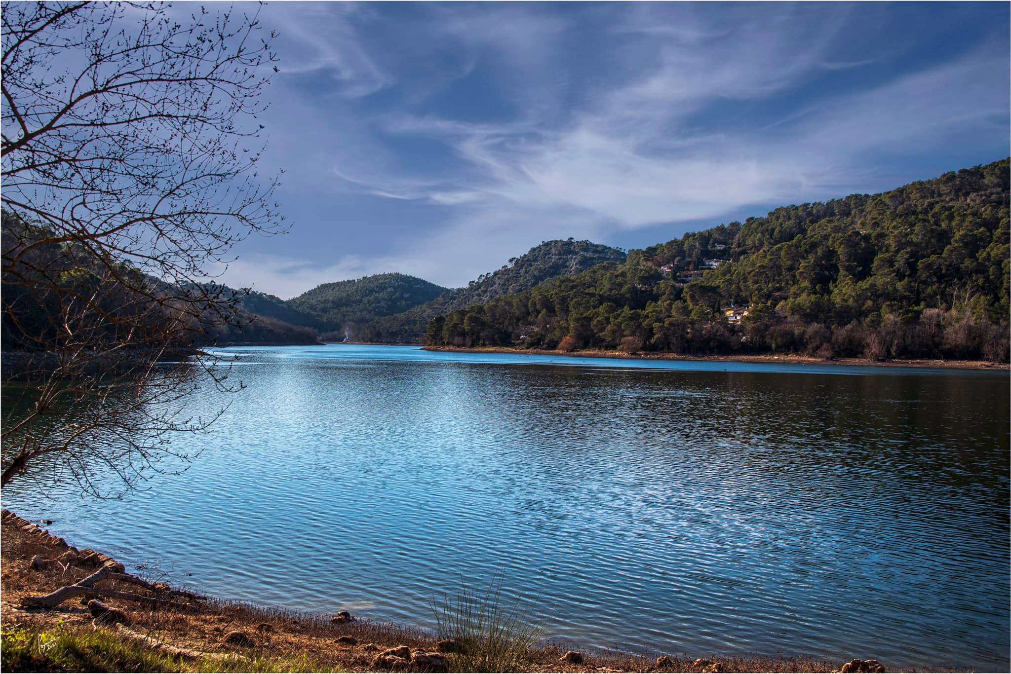 Patrick V.. Carcès