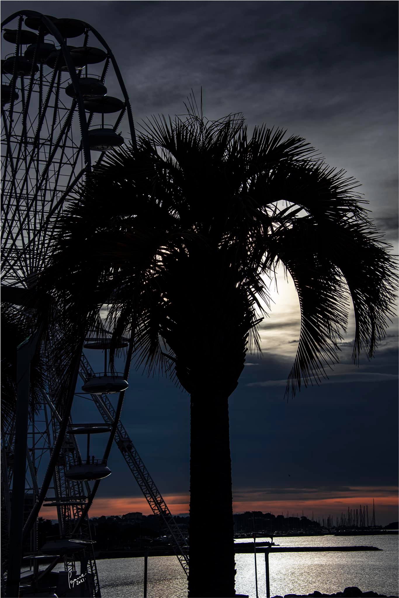 Patrick V.contre jour St Raph