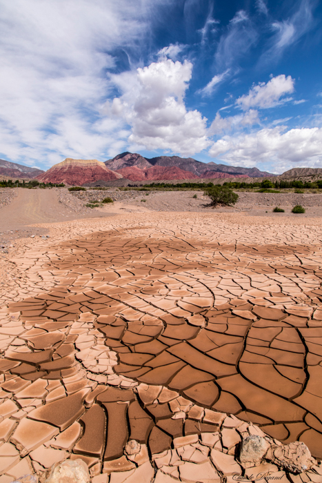 état d'absence print