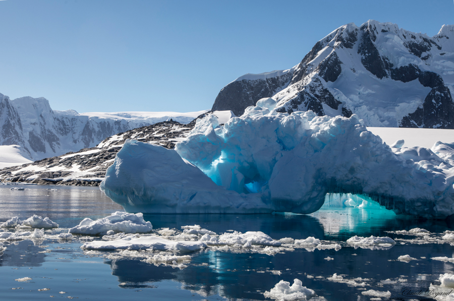 rapsodie in blue print